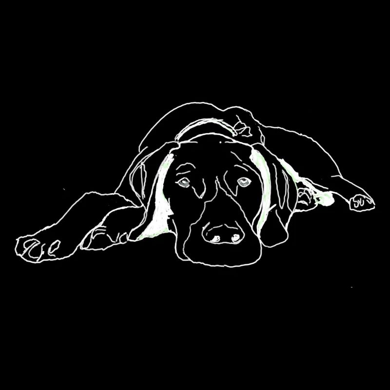 Pointer German Shorthair
