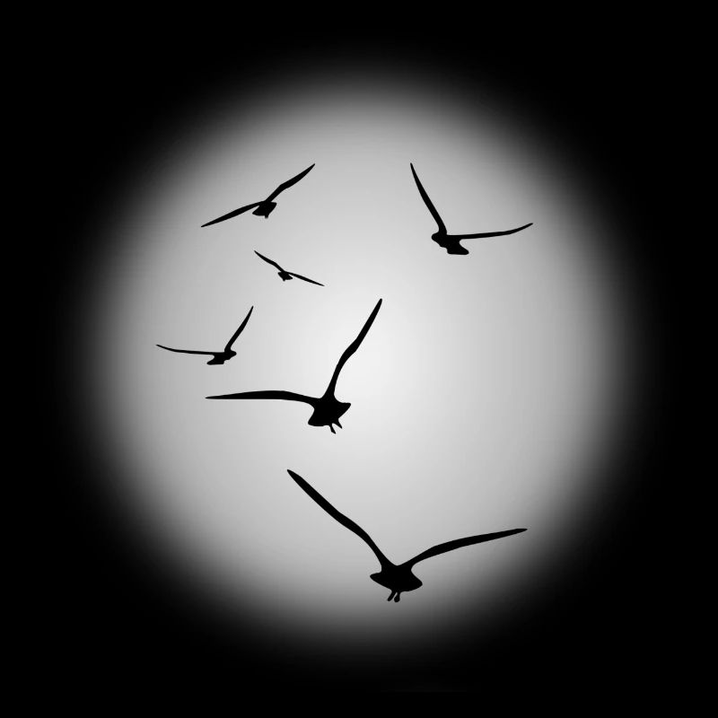 Flug der Vögel