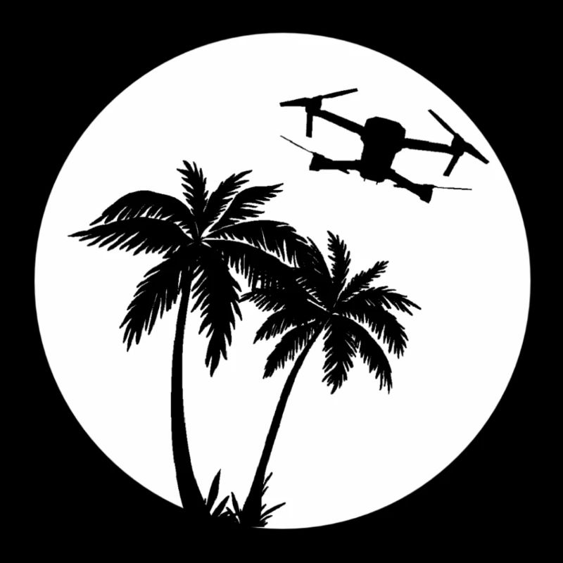 DJI MAVIC PRO DRONE palm sun