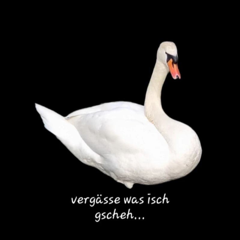 Vergässe was isch gscheh
