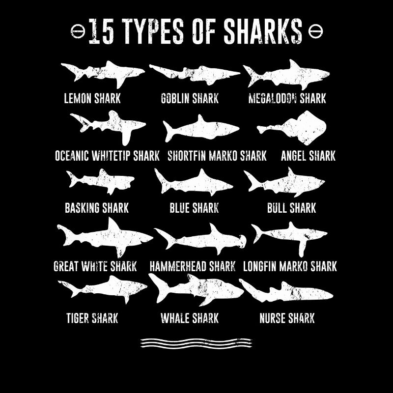 Requins - 15 types de requins