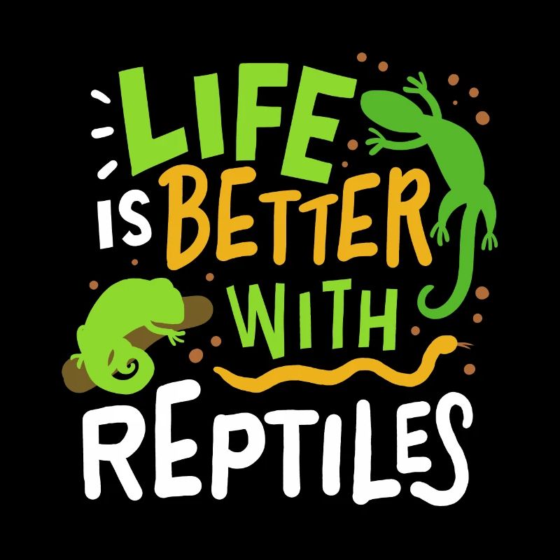 Rettile lucertola