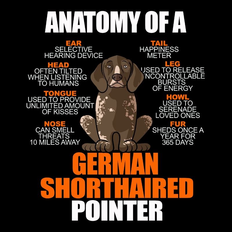 Anatomie eines Deutschen Kurzhaar-Pointers Lustiges GSP