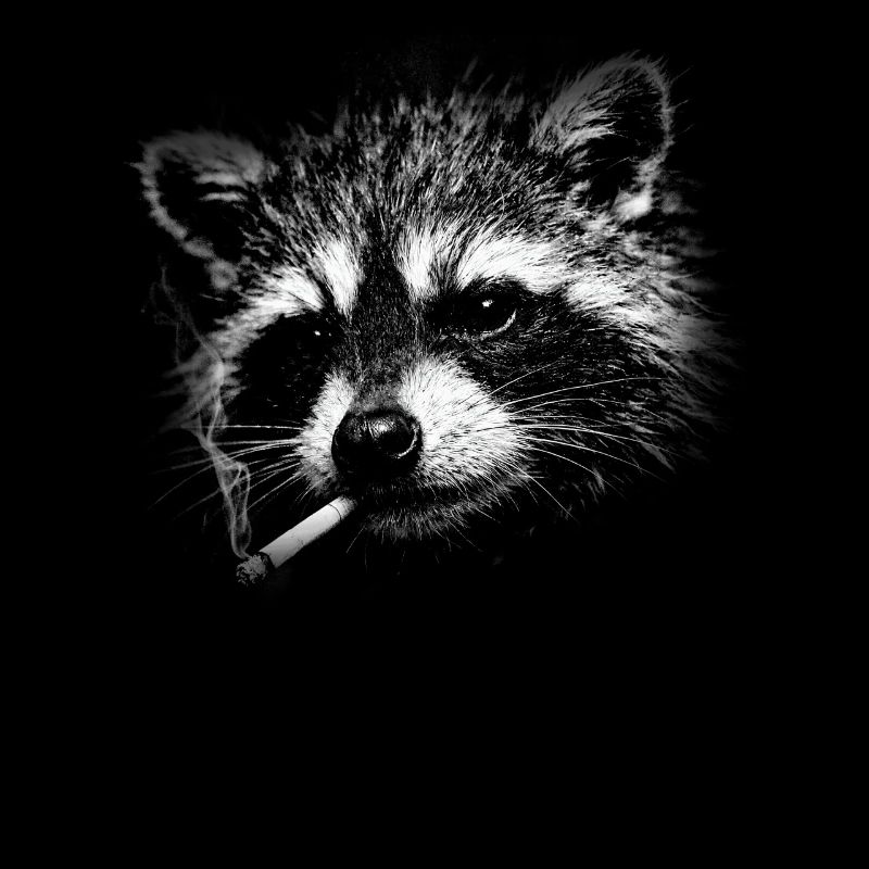 Rauchen, Zigarette, Waschbär raucht eine Zigarette