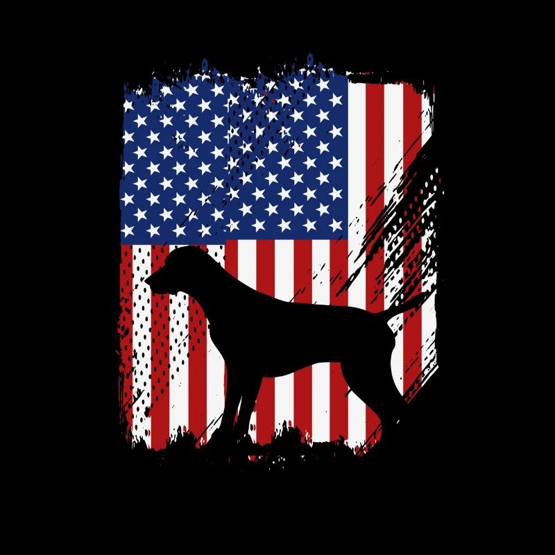 Deutsch Kurzhaar Hund German Pointer