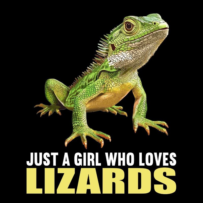 Lizards Lizard