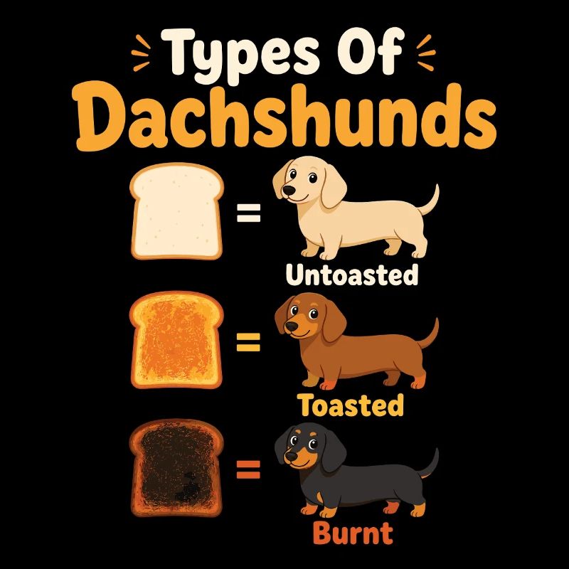Types drôles de teckels et chiens