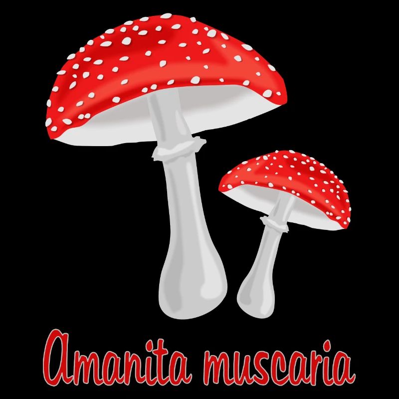 Champignons d’automne