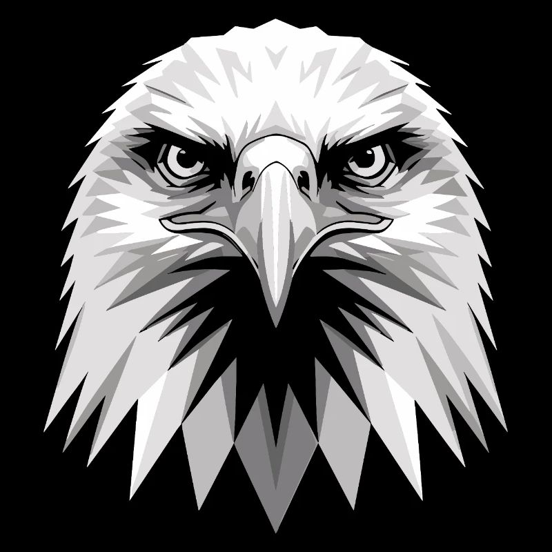 Aigle Pygargue à tête blanche Aigle royal Pygargue à queue blanche