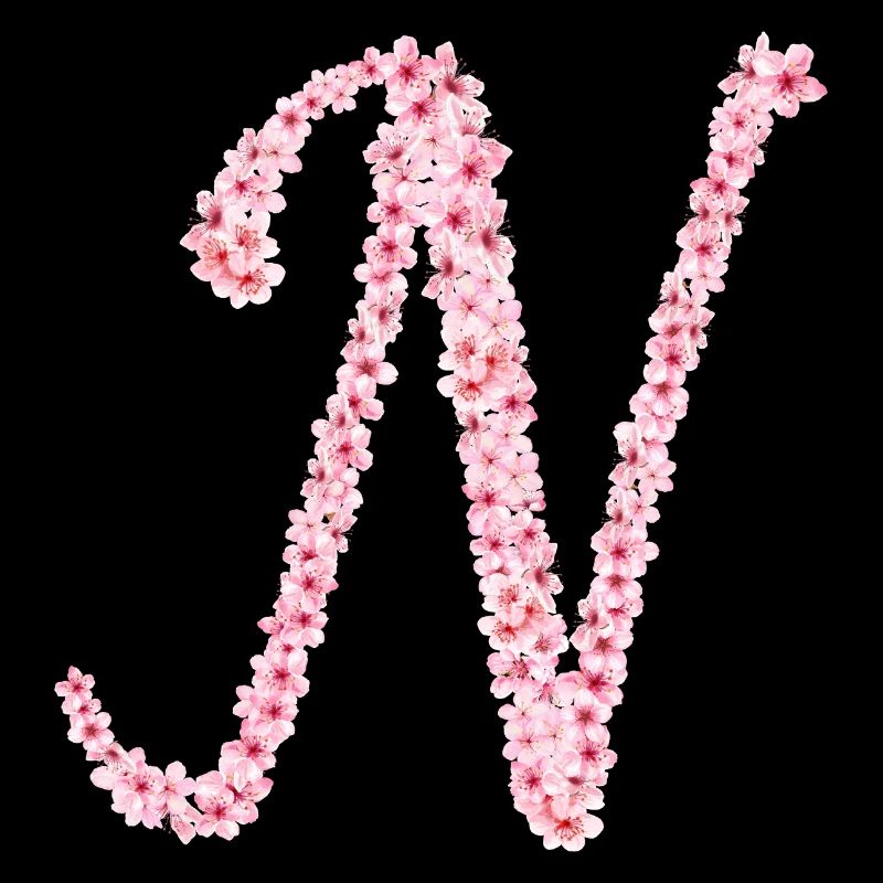 Initiale N de la fleur de cerisier