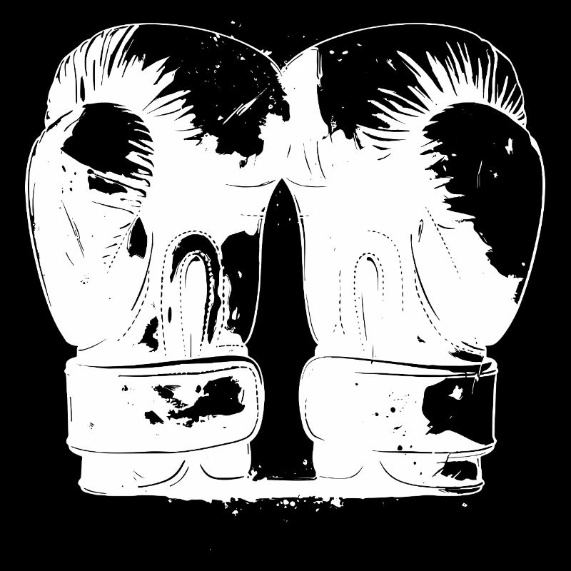 Boxhandschuhe