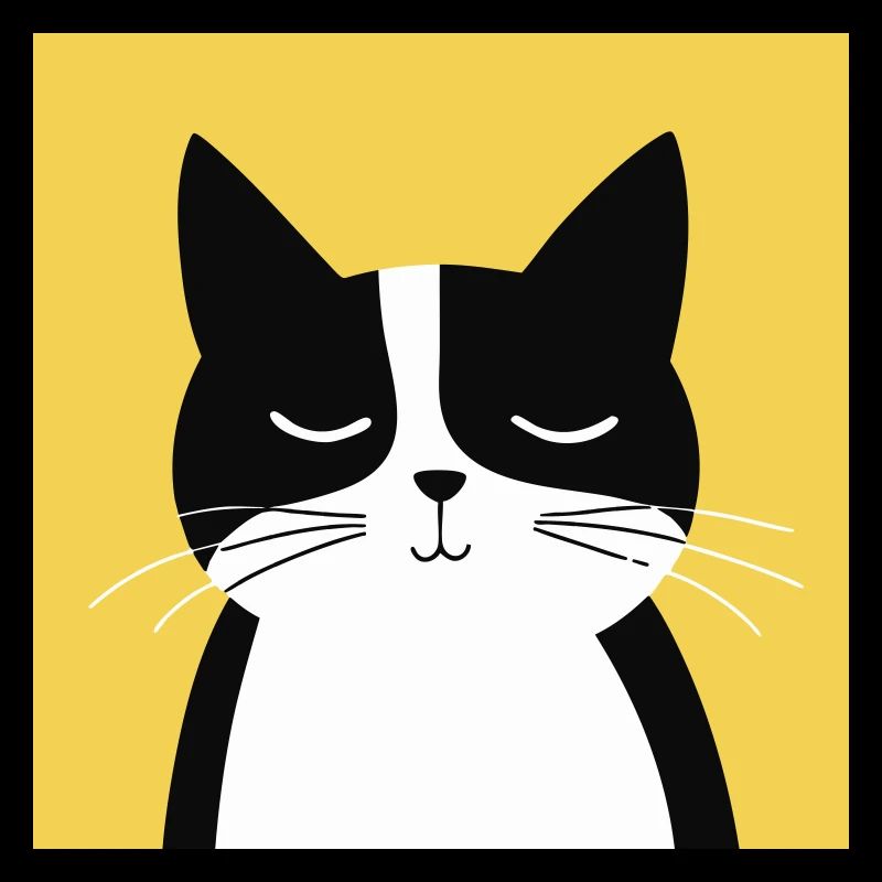 Chat noir et blanc minimaliste