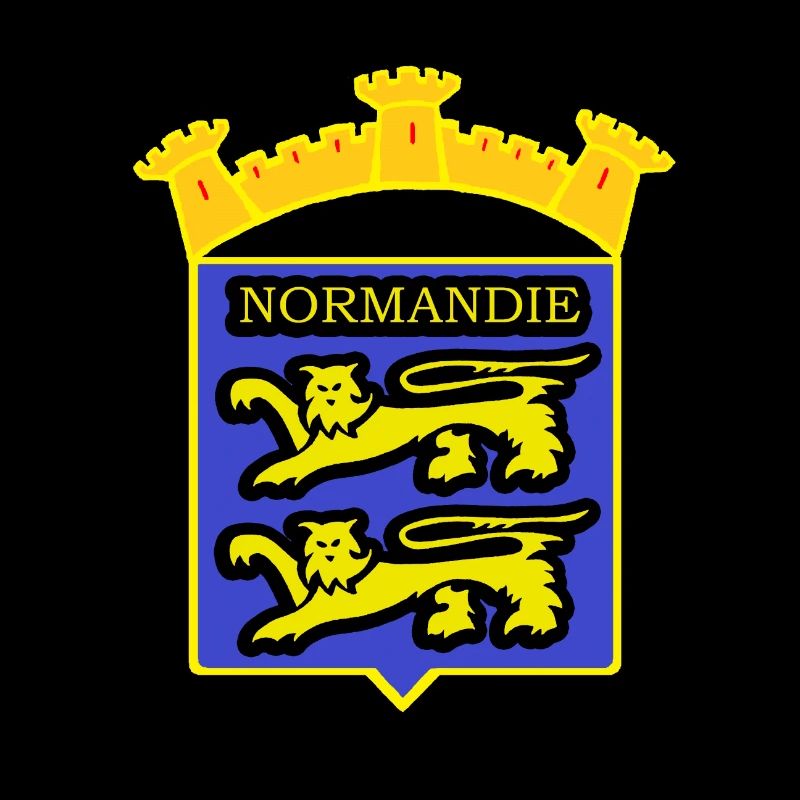 NORMANDY ABZEICHEN