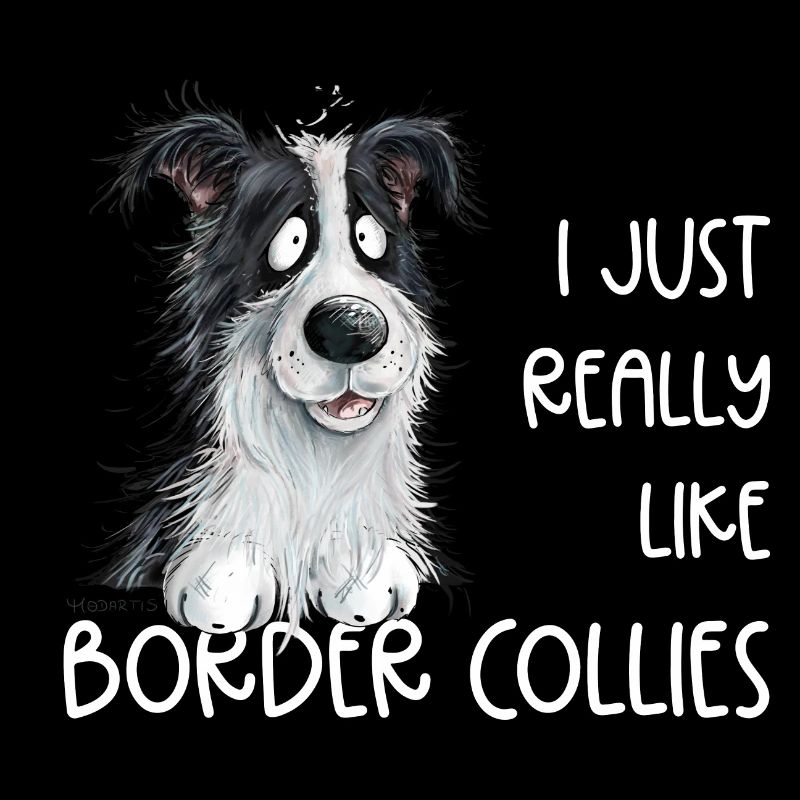 Droll border collie chien dicton