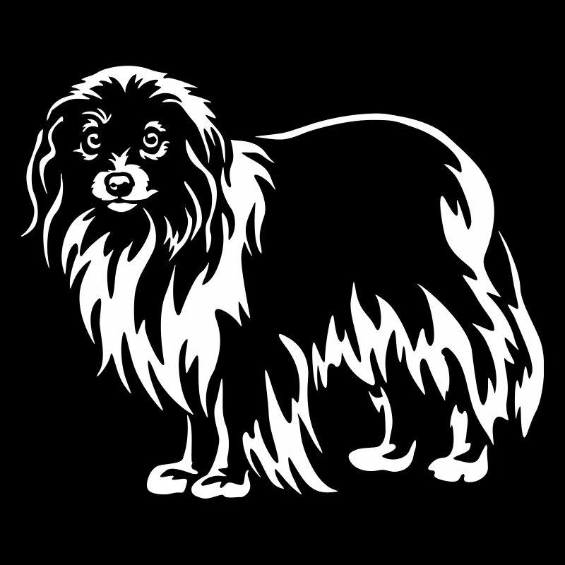 Phalène « Black Edition »