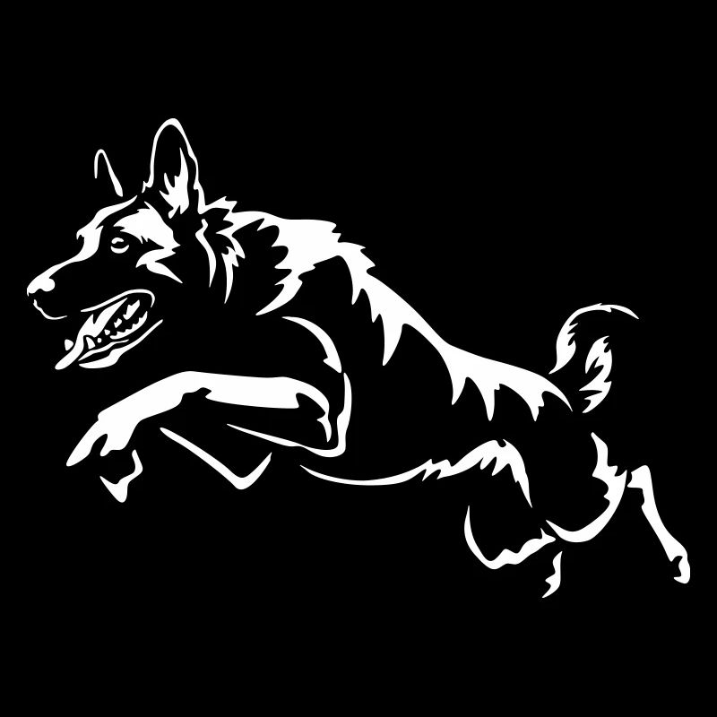 Malinois « Édition Noire »