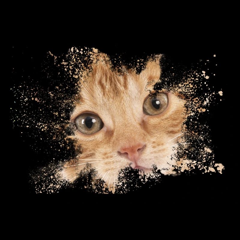 Orangene Katze mit Aquarellspritz