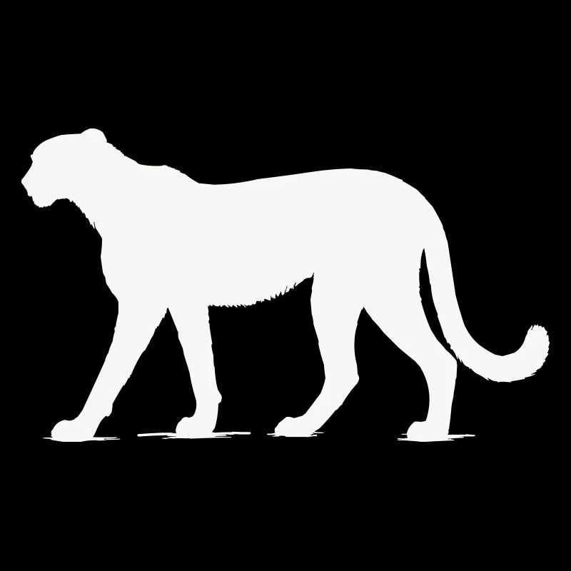Cheetah animal