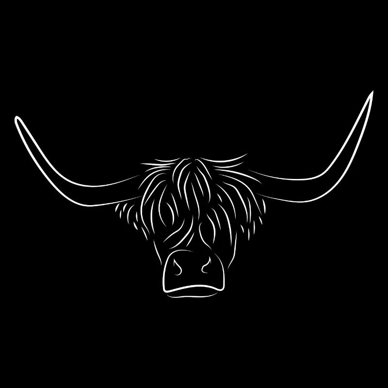 Galloway Highland Beef Contour Drawing