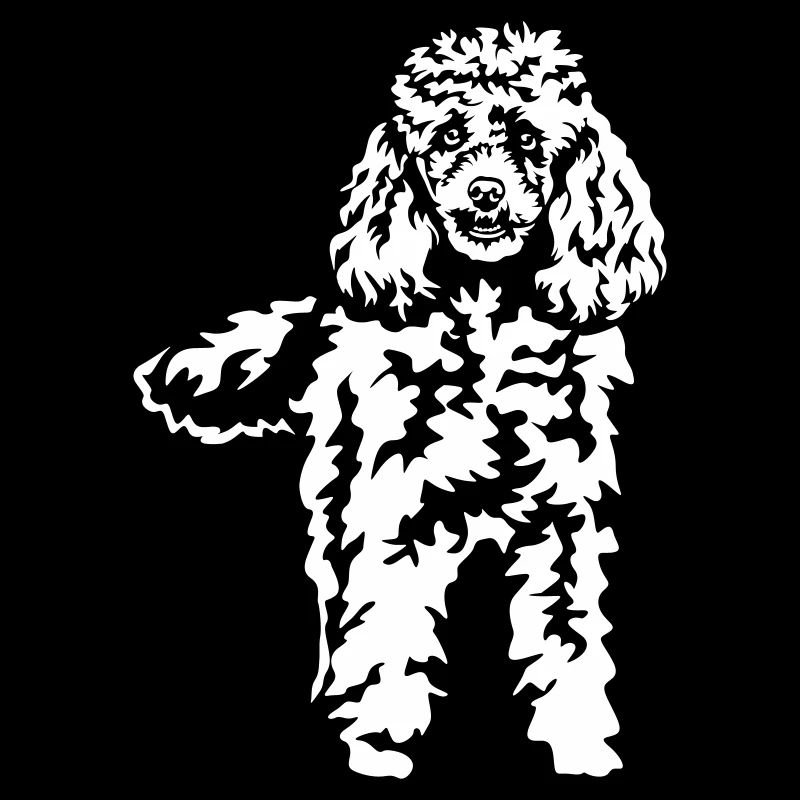 Poodle "Black Edition"