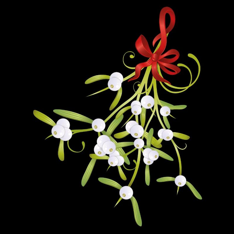 Mistletoe mistletoe berries Christmas bow