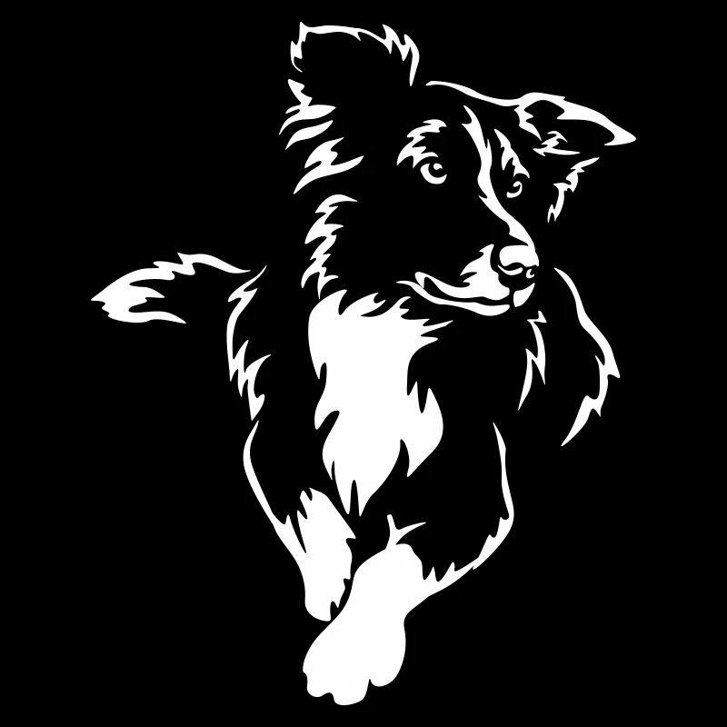 Border Collie "Black Edition"