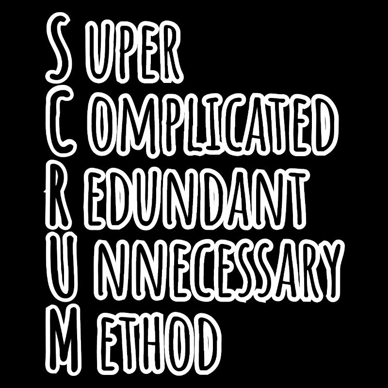SCRUM Master has agilely developed the Daily Backlog Refinement