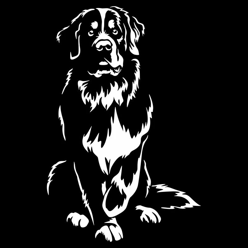 Bernese Mountain Dog "Black Edition"