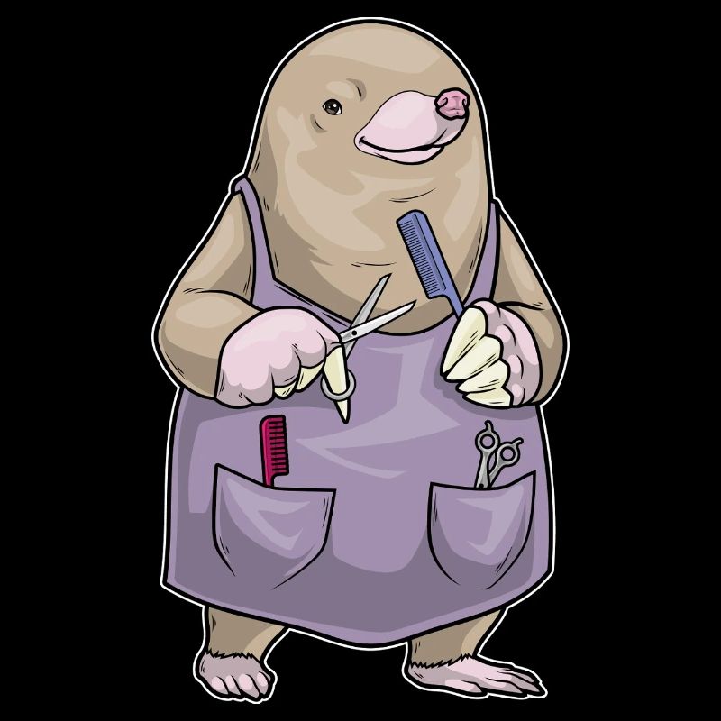 Peigne et ciseaux de coiffeur Mole