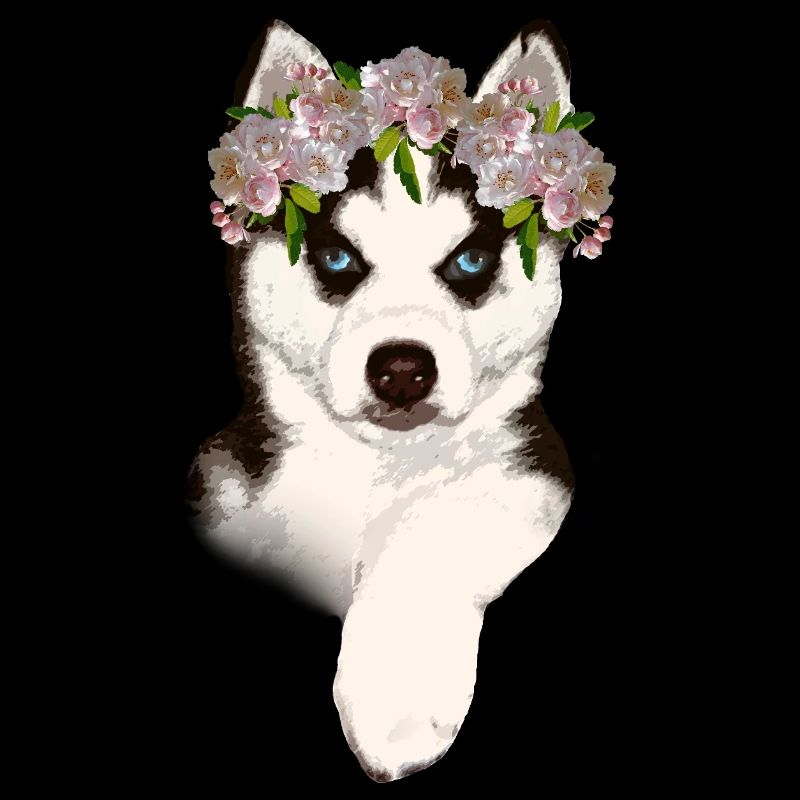 Husky avec couronne de fleurs