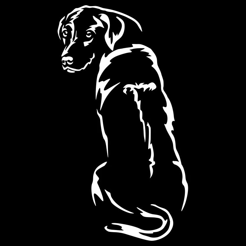 Rhodesian Ridgeback "Black Edition"