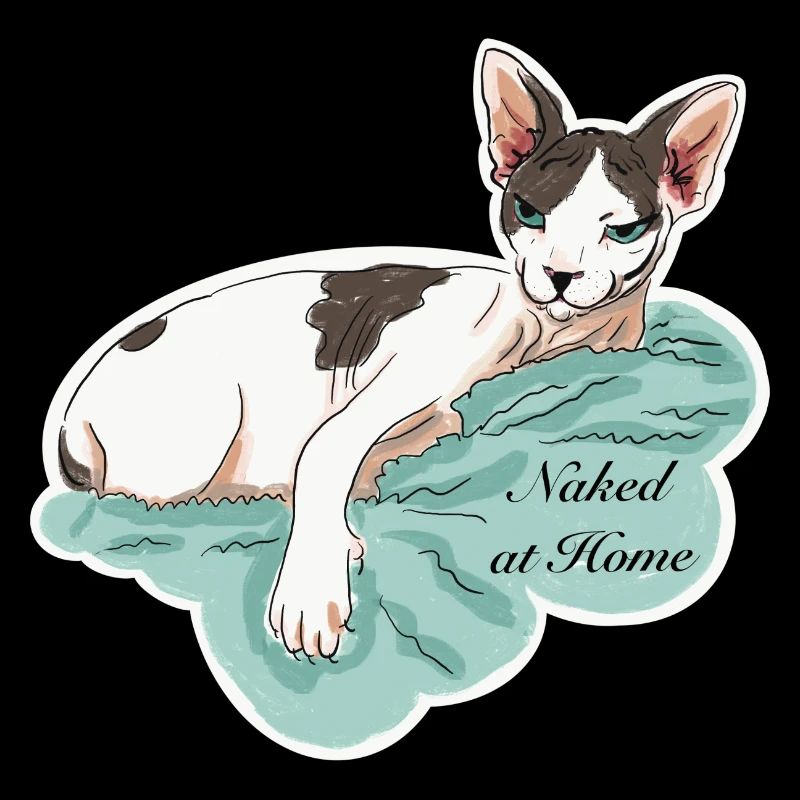 Sphynx nu à la maison
