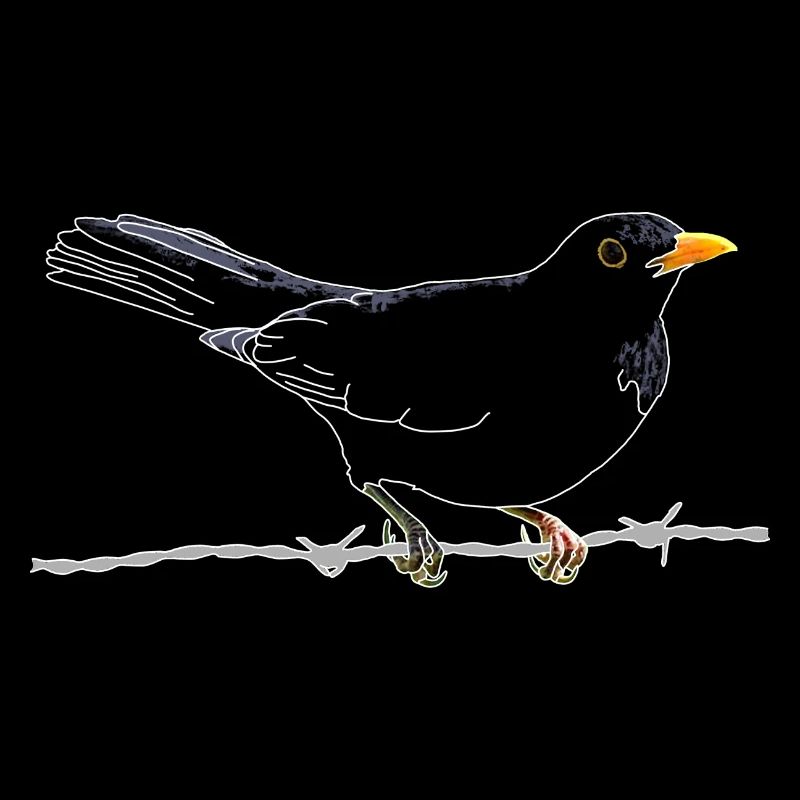 Amsel auf Stacheldraht