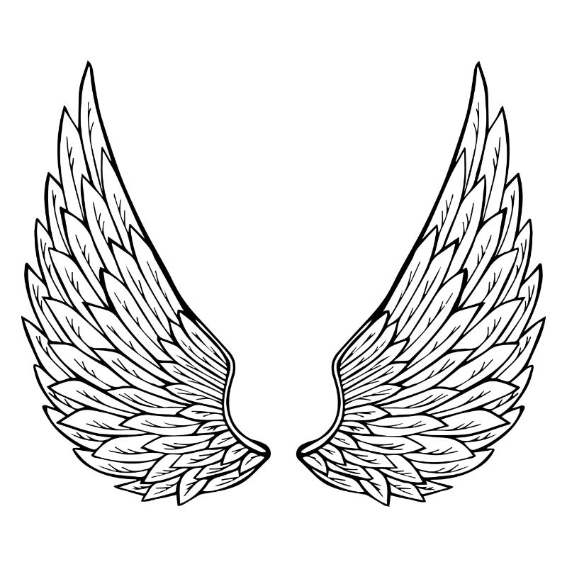 ailes d'anges