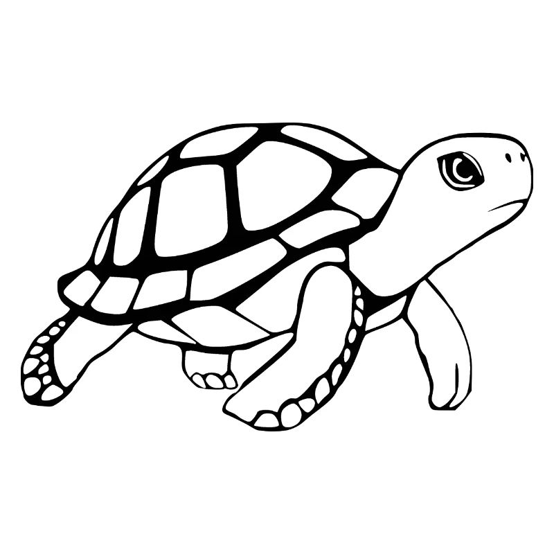 Turtle Black and White T-shirt Gift
