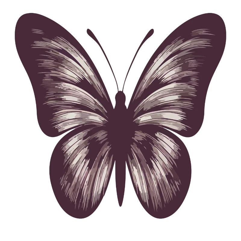 Papillon