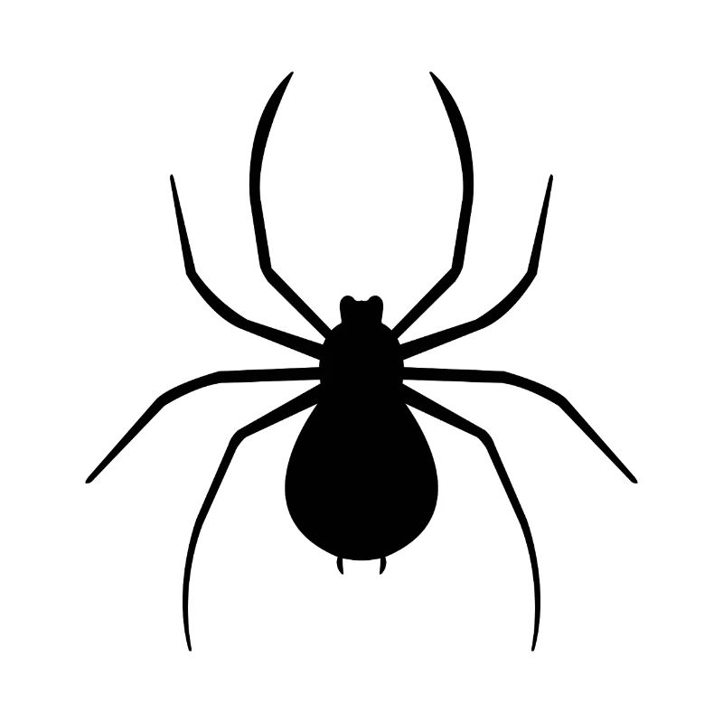 spider