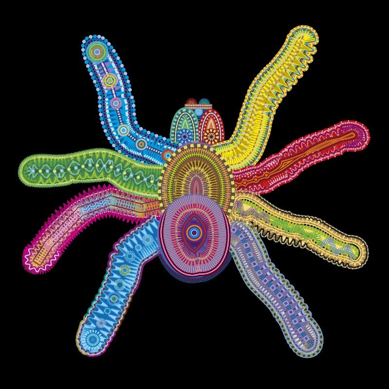 Deep Sea Spider