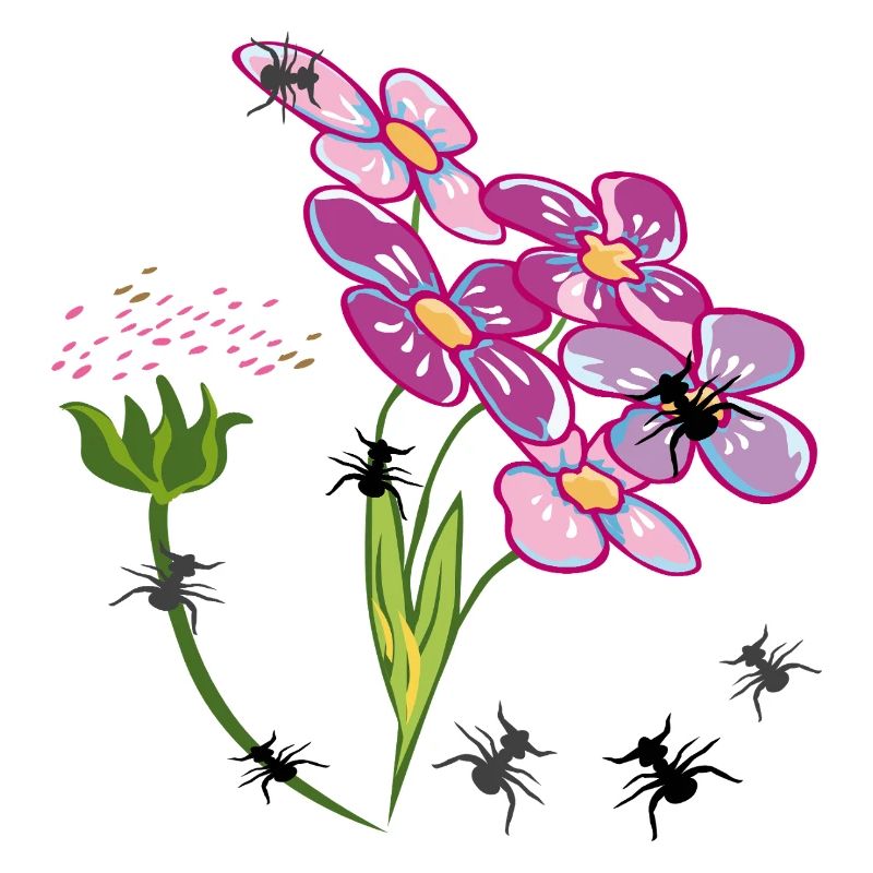 Fleurs avec des fourmis insectes