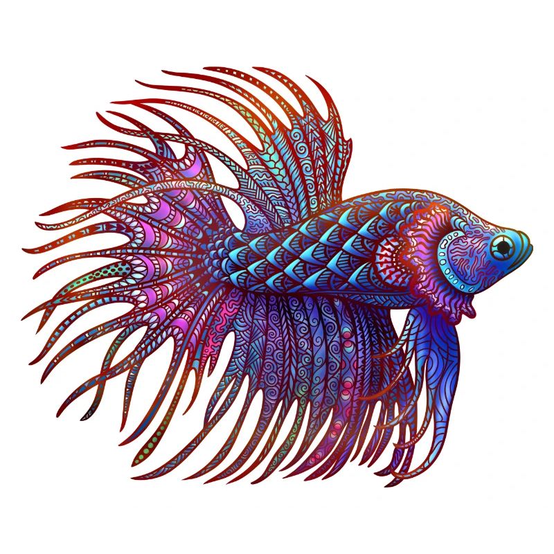 Betta Zentangle colour