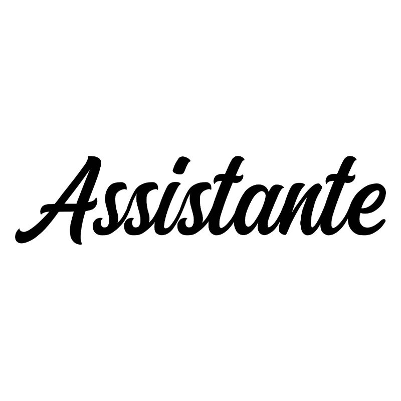 Assistante Polyvalente Secrétaire Bureau Professio