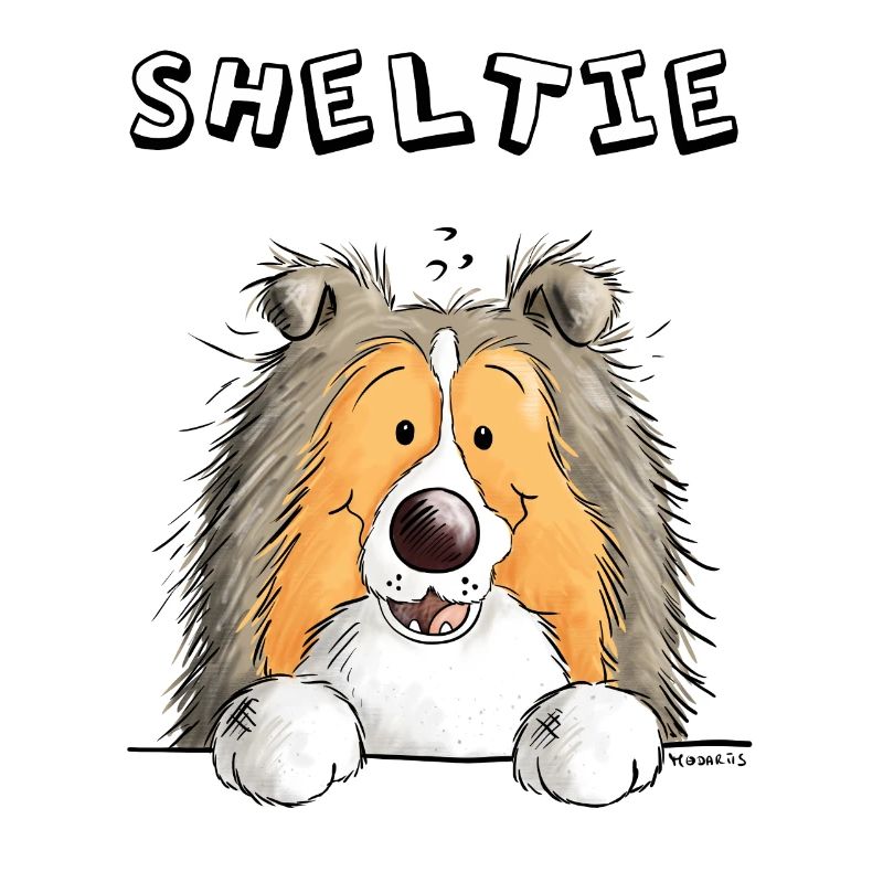 Neugieriger Sheltie