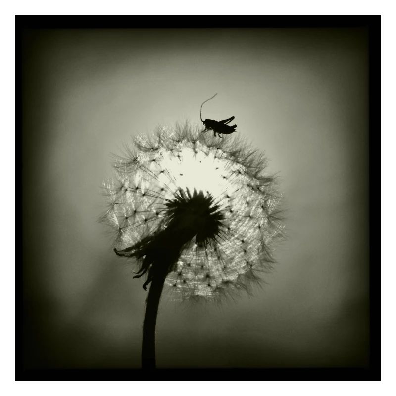 Tiny Planet