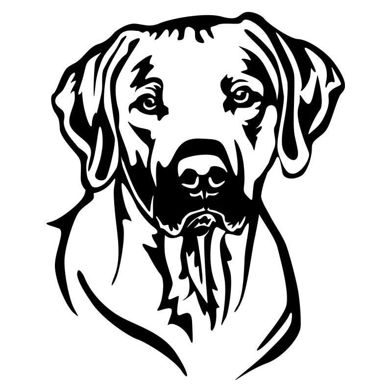 Rhodesian Ridgeback Kopf