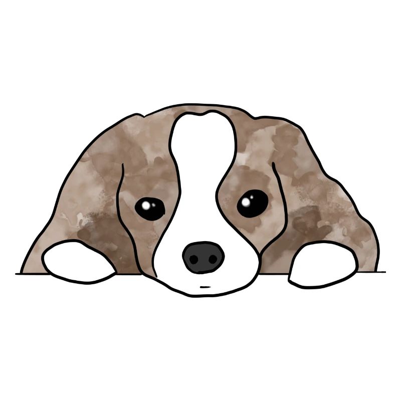 Hund