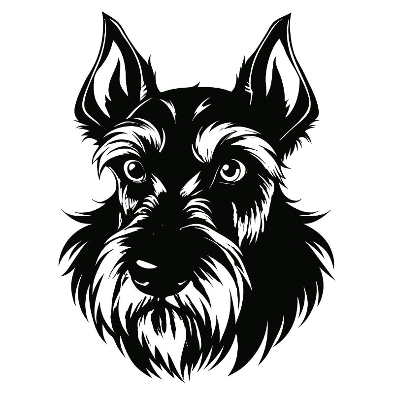 Schnauzer géant