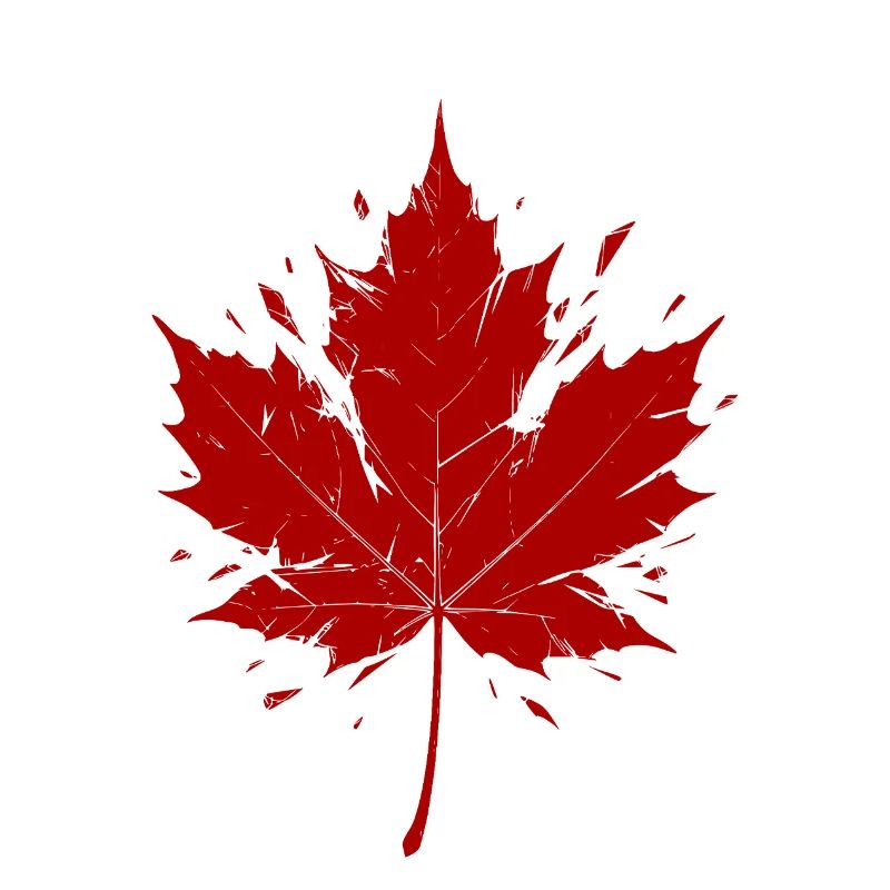 Feuille d’érable rouge fragmentée