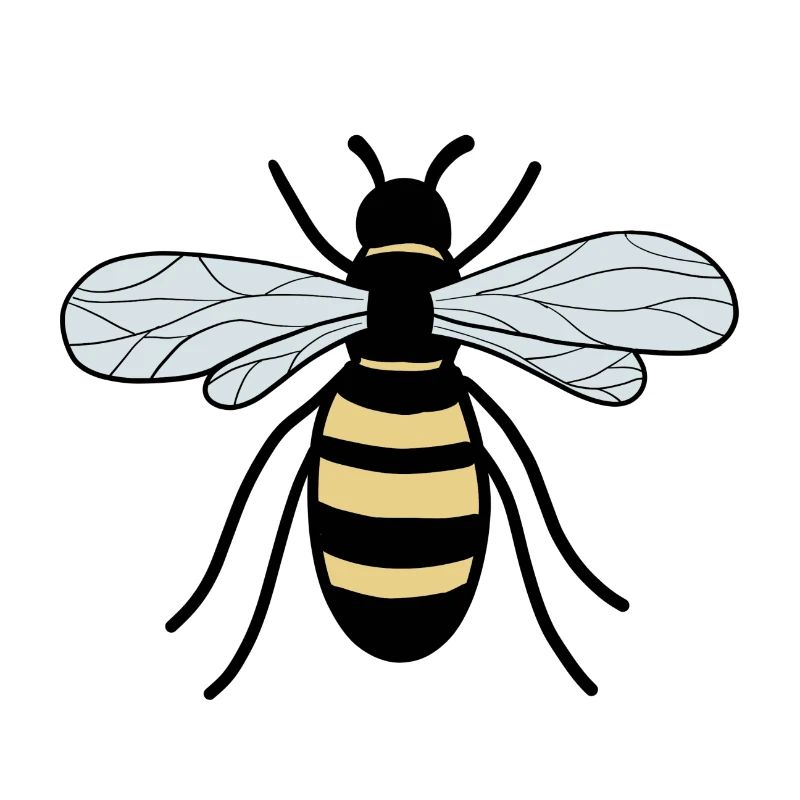 bee