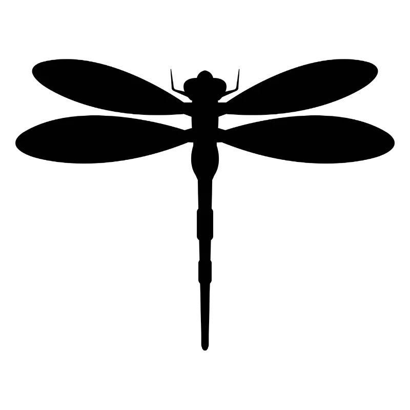 Libellule
