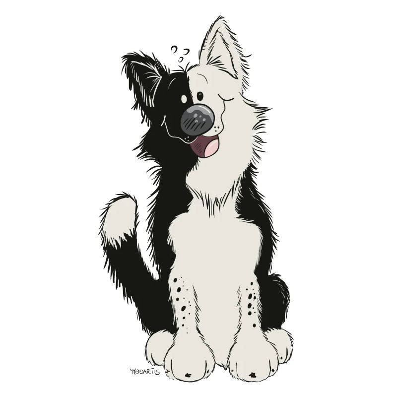 Mignon Border Collie